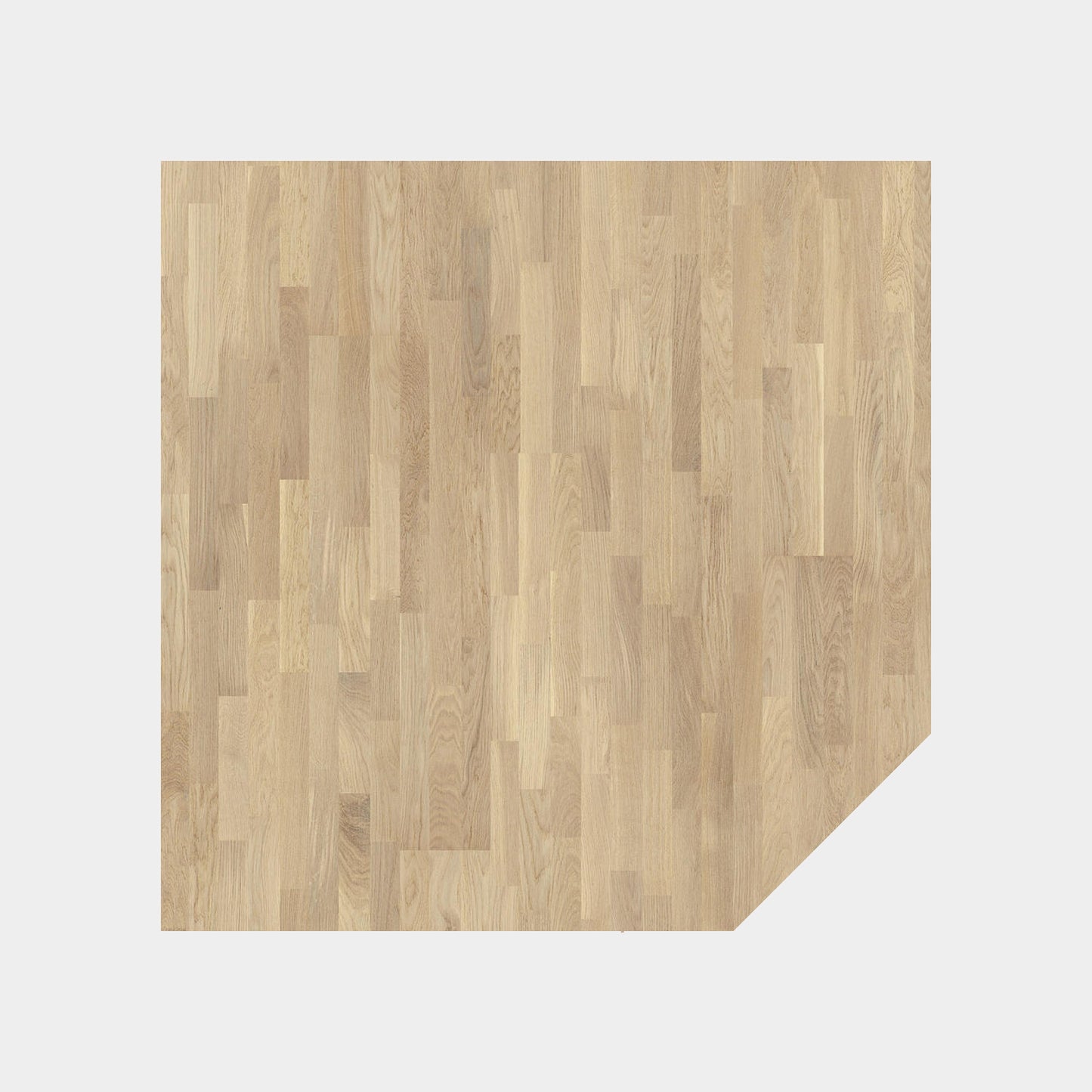 Grace Ek White Canvas Tres