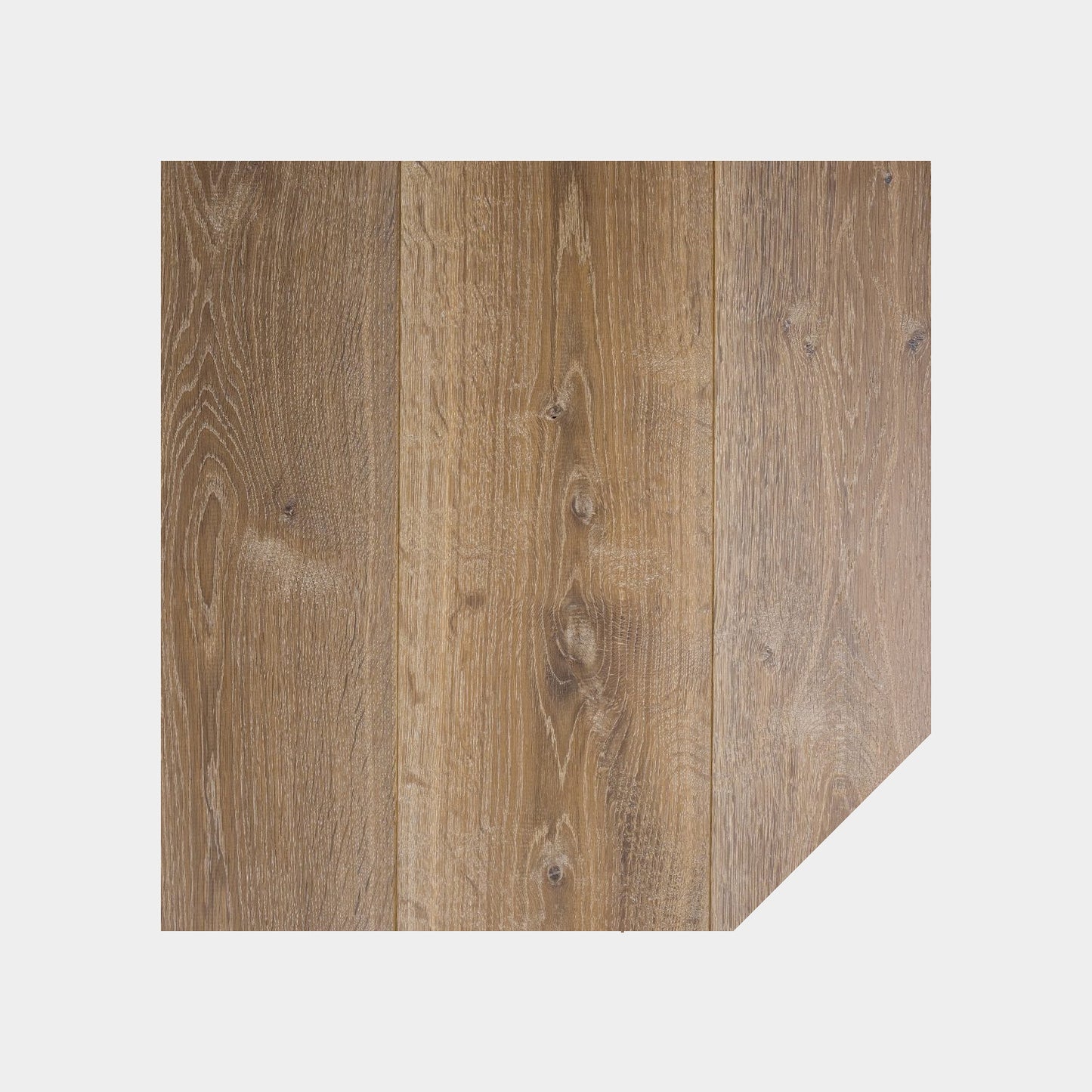 Design Collection Taupe