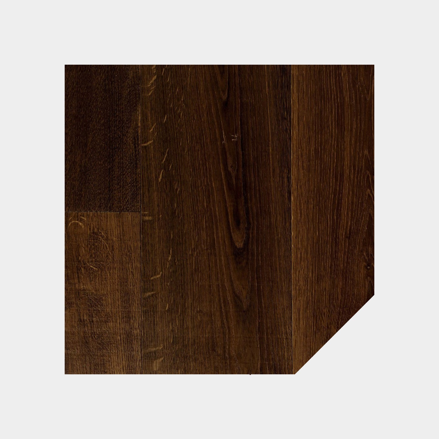 Forest Collection Bronze